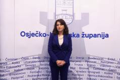 Mini OBZ 8497